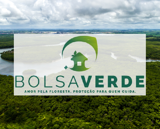 Bolsa Verde: Programa do Governo de Conservação Ambiental e Benefícios Sociais